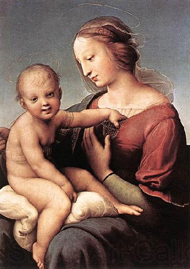RAFFAELLO Sanzio Madonna and Child Norge oil painting art